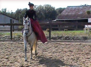  Escuela de espectáculos ecuestres 